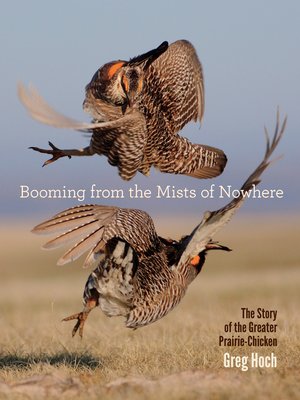 cover image of Booming from the Mists of Nowhere